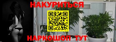 гидра Гусиноозёрск