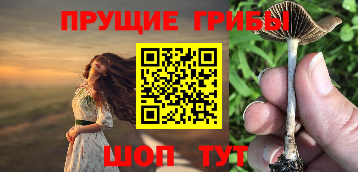 Псилоцибиновые грибы мицелий  Вход с VPN  Искитим 